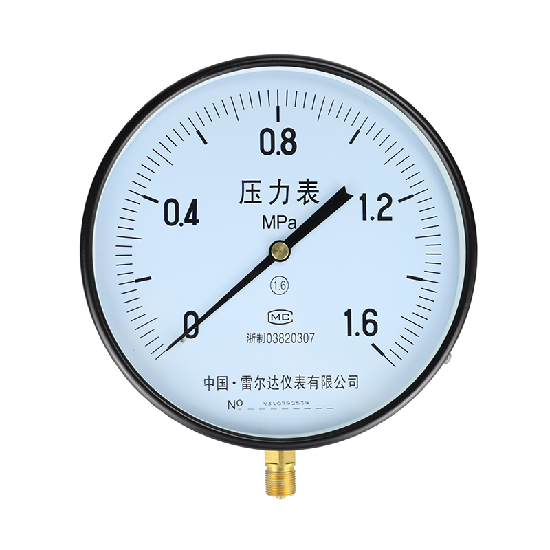 Y-250大表盤(pán)普通表
